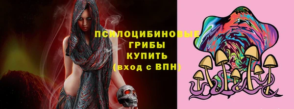 СК Няндома