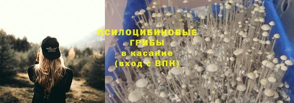 ГАЛЛЮЦИНОГЕННЫЕ ГРИБЫ Нязепетровск