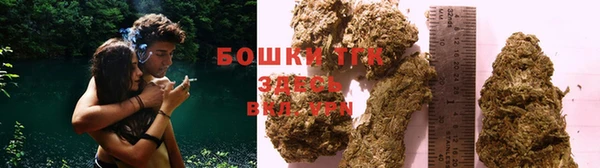 СК Няндома