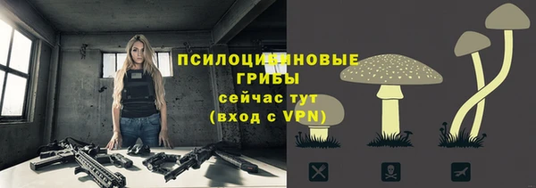 ГАЛЛЮЦИНОГЕННЫЕ ГРИБЫ Нязепетровск