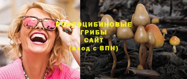 ГАЛЛЮЦИНОГЕННЫЕ ГРИБЫ Нязепетровск