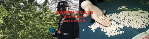 ГАЛЛЮЦИНОГЕННЫЕ ГРИБЫ Нягань