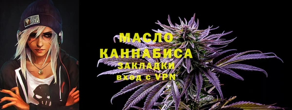 СК Няндома