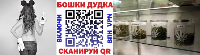 дарк нет телеграм Томари Бошки Шишки MAZAR
